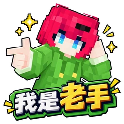 我是老手